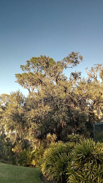 Business image 9