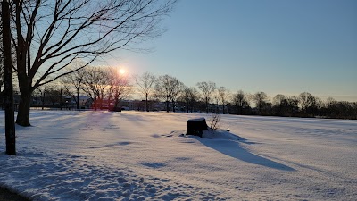 Business image 7