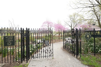 Business image 8