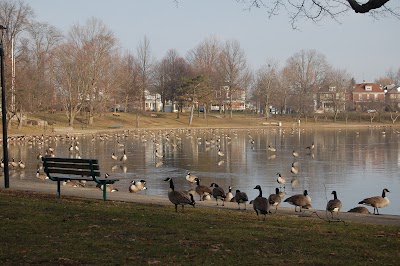 Business image 6