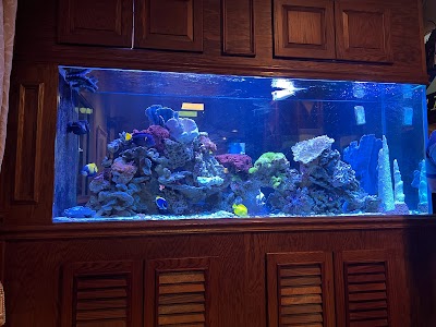 Business image 9