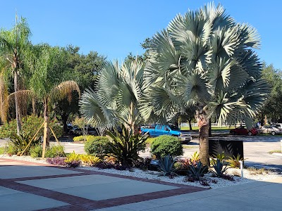 Business image 7