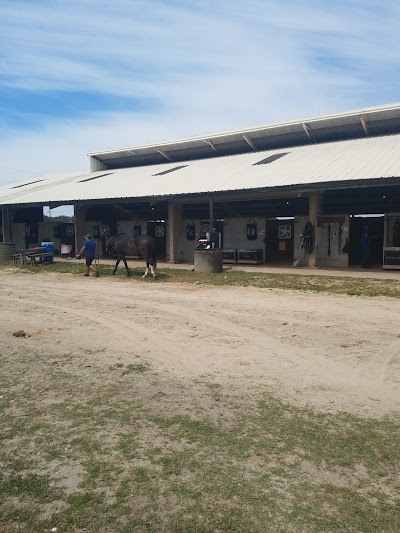 Business image 8