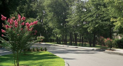 Business image 8