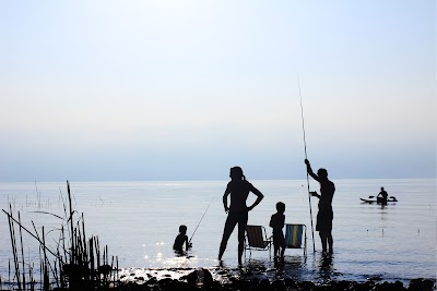 Business image 6