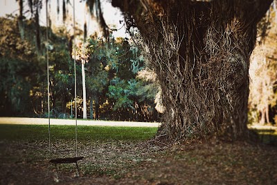 Business image 2