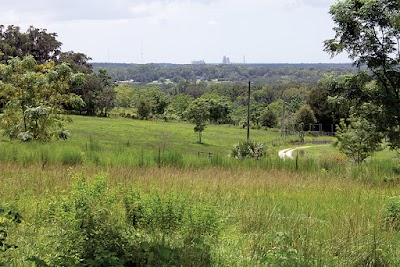 Business image 4