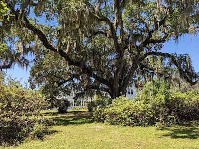 Business image 7
