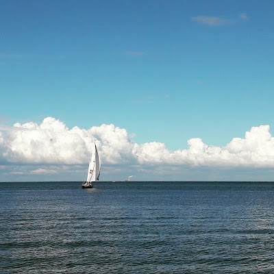 Business image 9