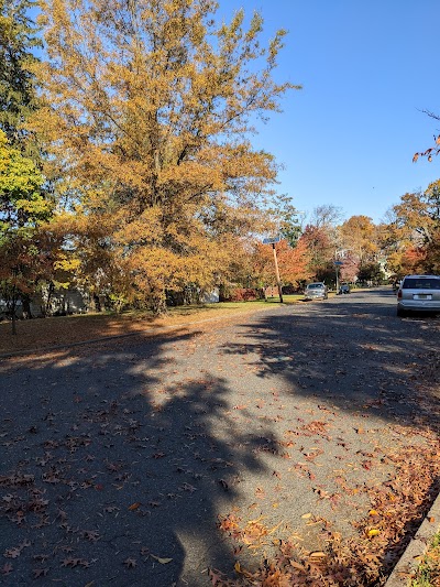 Business image 6