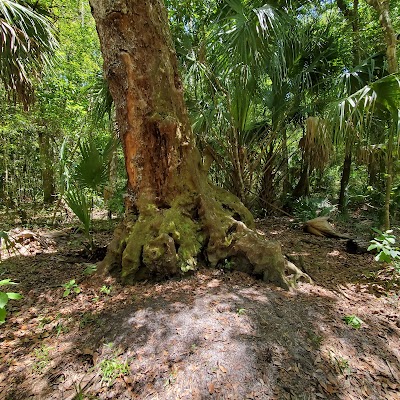 Business image 6
