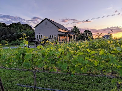 Business image 5