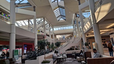 Business image 5