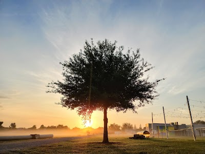 Business image 9
