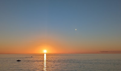 Business image 8