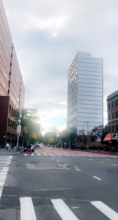 Business image 4