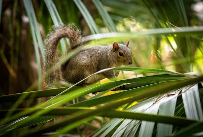 Business image 8