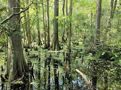 Business image 9