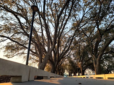 Business image 8