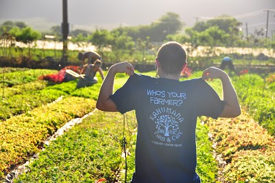 Kahumana Food Hub & Organic Farms