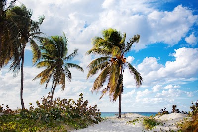 Business image 4