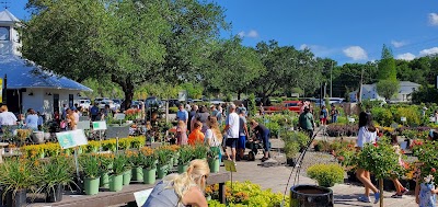 Business image 2