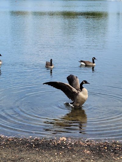Business image 5
