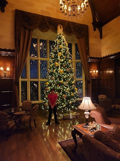 Business image 8