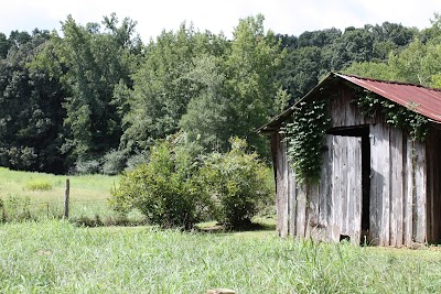 Business image 2