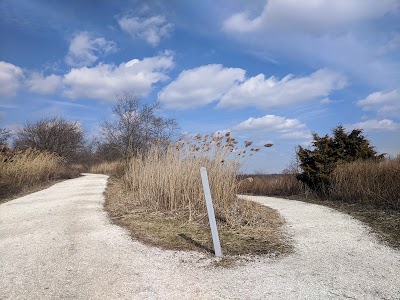 Business image 8