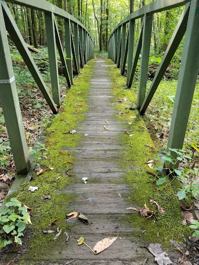 Business image 7
