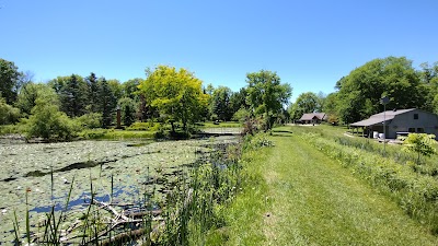 Business image 8