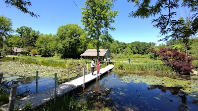 Business image 9