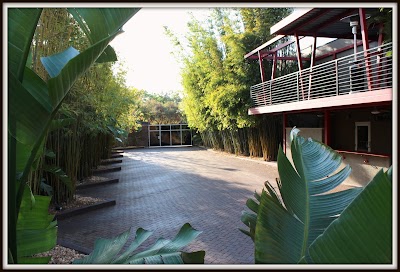 Business image 7