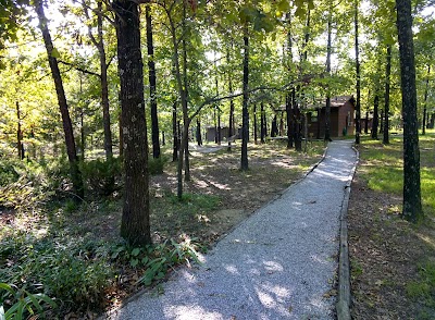 Business image 5