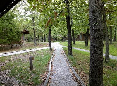 Business image 8