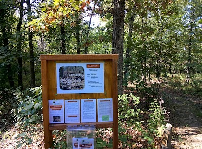 Business image 10