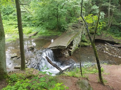 Business image 7