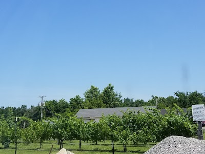 Business image 8