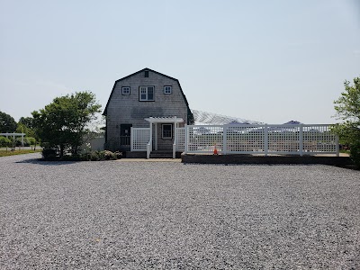 Business image 10