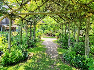 Business image 8