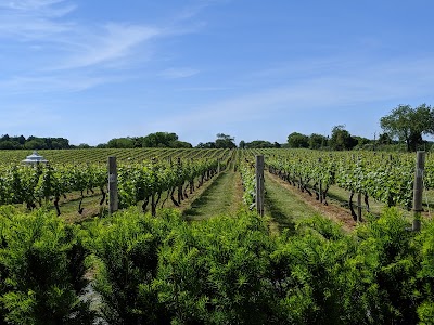 Business image 9