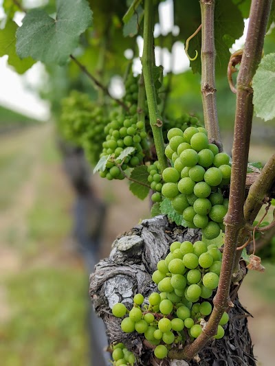 Business image 6