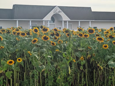 Business image 7