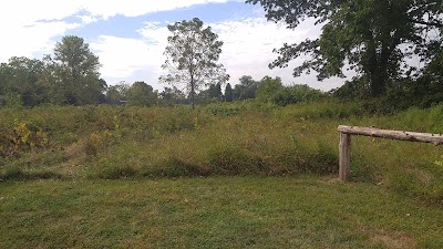 Pine Croft Meadow Preserve