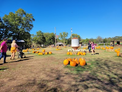Business image 7