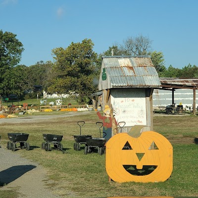 Business image 8