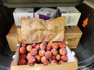 Business image 6