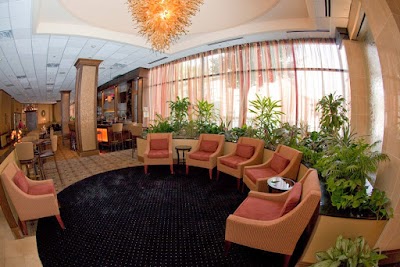 Business image 8