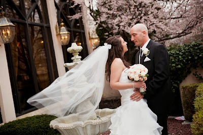Business image 9